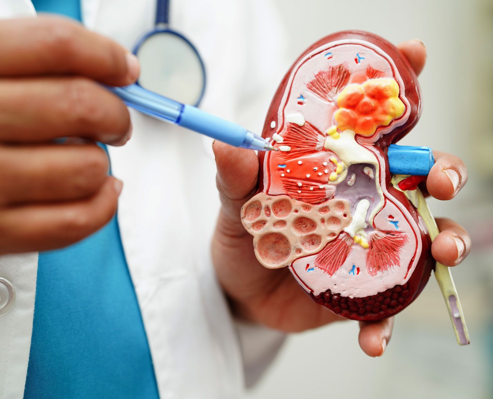 MEDICO CIRUJANO