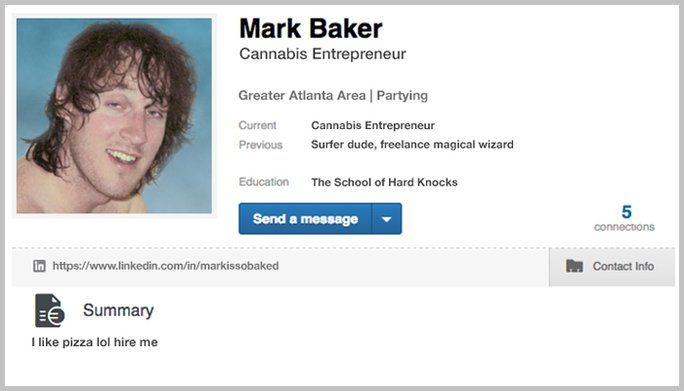 A fake LinkedIn profile for Mark Baker (the author).