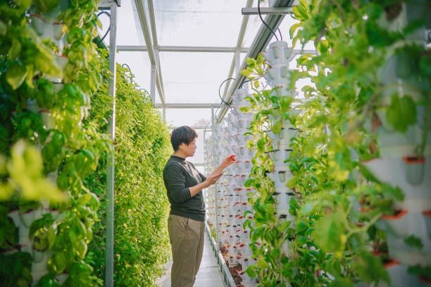 A woman is standing in a greenhouse looking at plants.