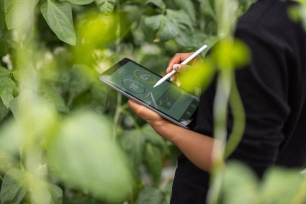 A person is holding a tablet and a pen in a greenhouse.