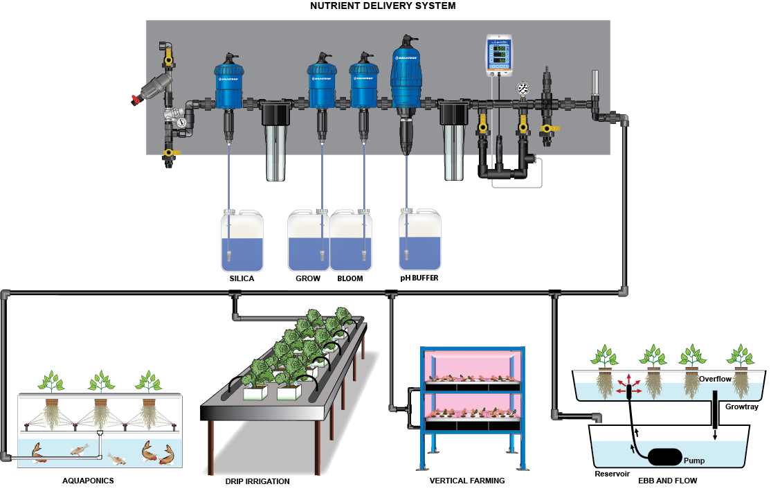 A diagram of a hydroponic system with plants