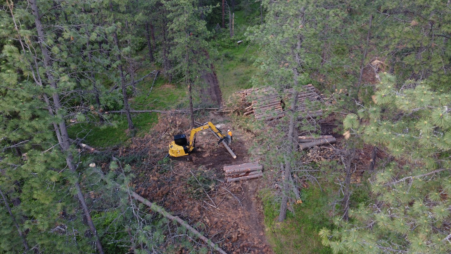 An aerial view of a yellow excavator cutting down trees in a forest.