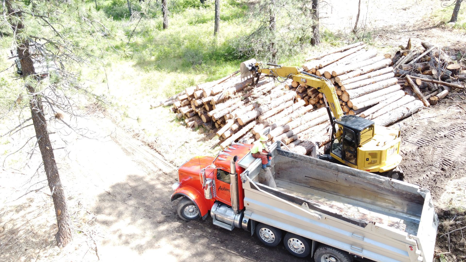 A dump truck is being loaded with logs in a forest.