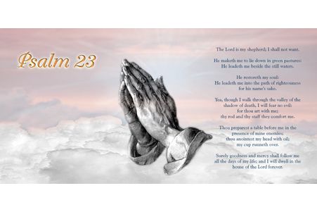 a drawing of a woman in a brown dress with wings