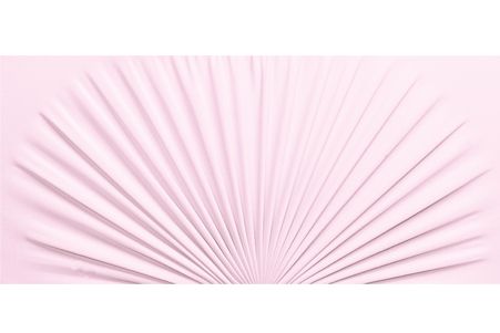 it looks like a palm tree leaf on a pink background .