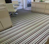 Tintern Abbey Bedford July 2015