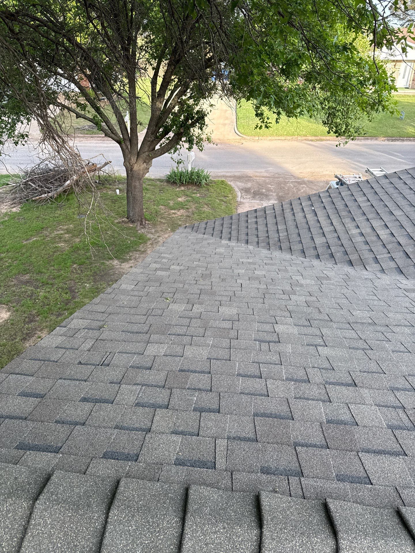 A close up of a roof with a tree in the background.