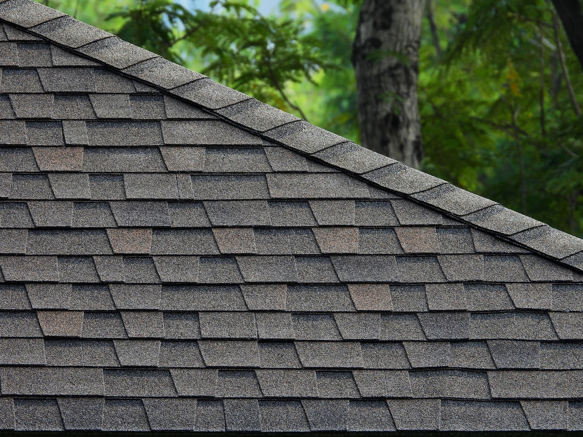 Close-up of a dark gray asphalt shingle roof against a blurred green tree background.