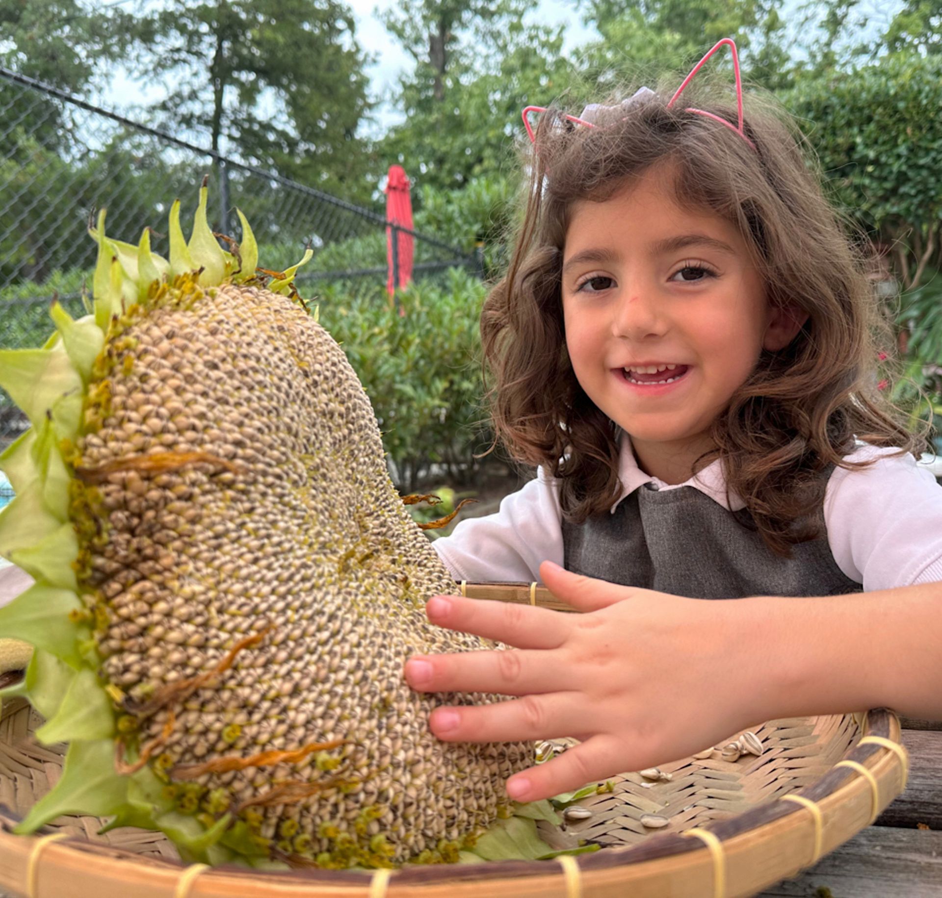 a Montessori child is holding a large sunflower in her hands