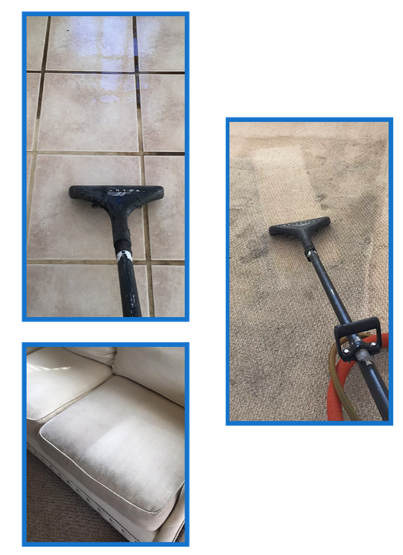 Expert Carpet Cleaning Company St. Petersburg, FL