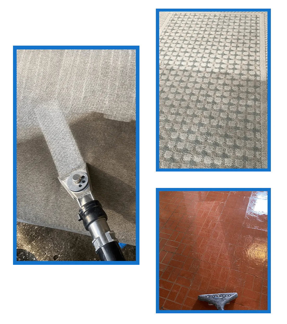 Newly Cleaned Carpets — St. Petersburg, FL — Dynamic Steam Carpet Cleaners