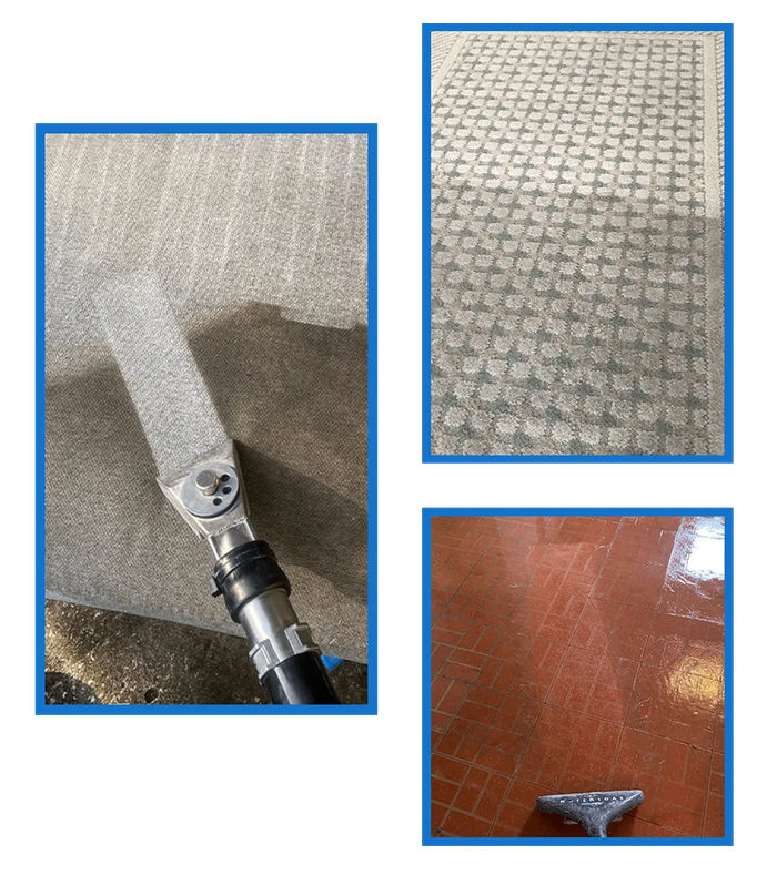 Expert Carpet Cleaning Company St. Petersburg, FL