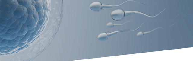 liquido seminale esame morfologico e indice di fertilità Le alternative al tabacco per smettere di fumare nicotina main image 0