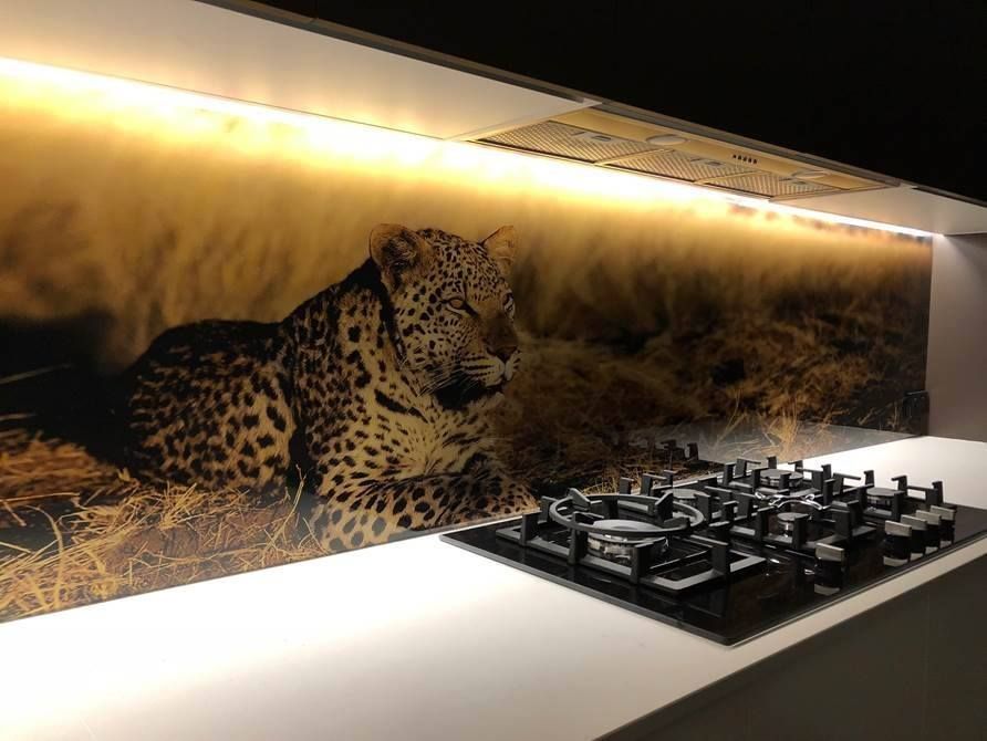 A Kitchen With a Picture of a Leopard on the Wall — DecoGlaze in Minchinbury, NSW