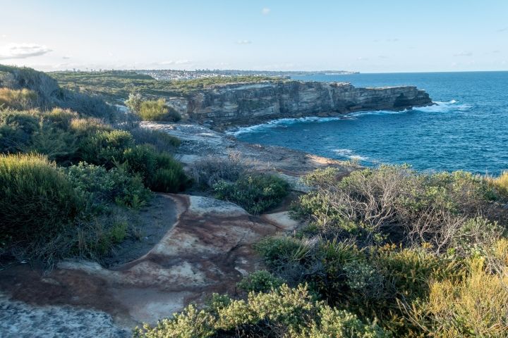 A View of a Cliff Overlooking the Ocean With Trees and Bushes — DecoGlaze in Randwick, NSW
