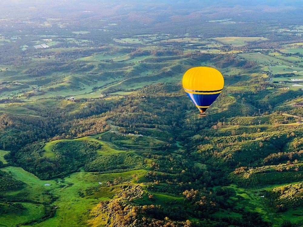 A Hot Air Balloon is Flying Over a Lush Green Valley — DecoGlaze in Windsor, NSW