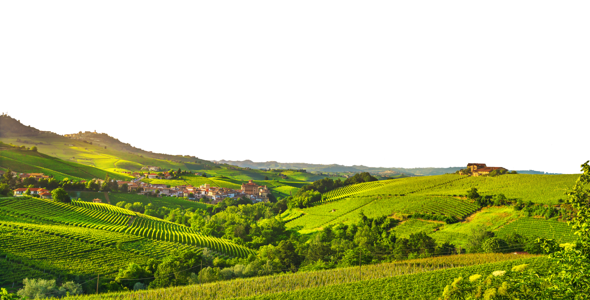 Camping Sole Langhe — photo 3