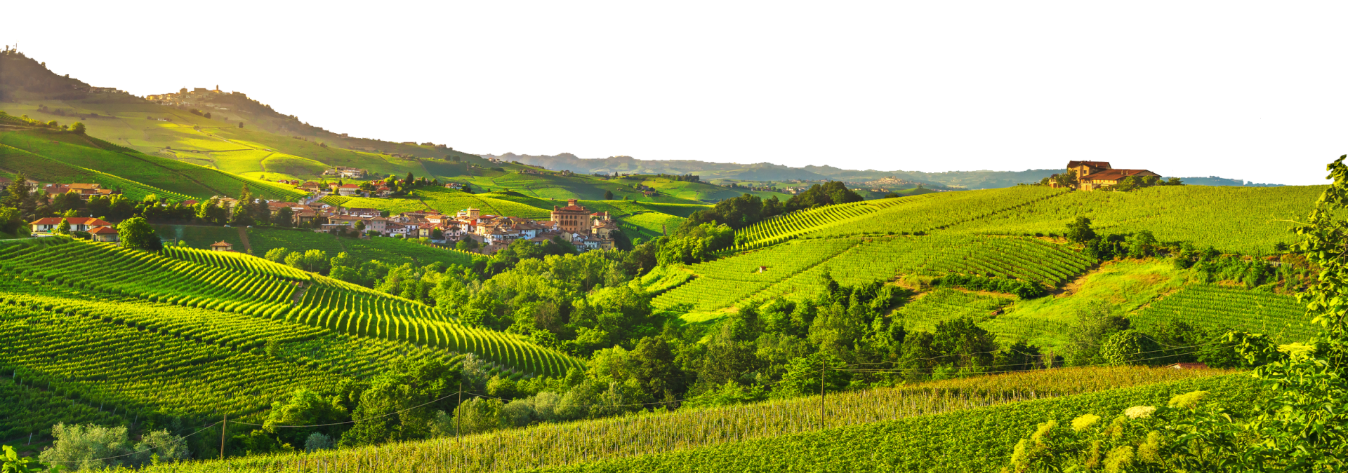 Camping Sole Langhe — photo 6
