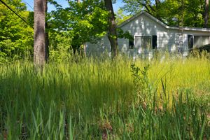 A white house is surrounded by tall grass and trees