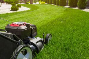 A lawn mower is cutting a lush green lawn.