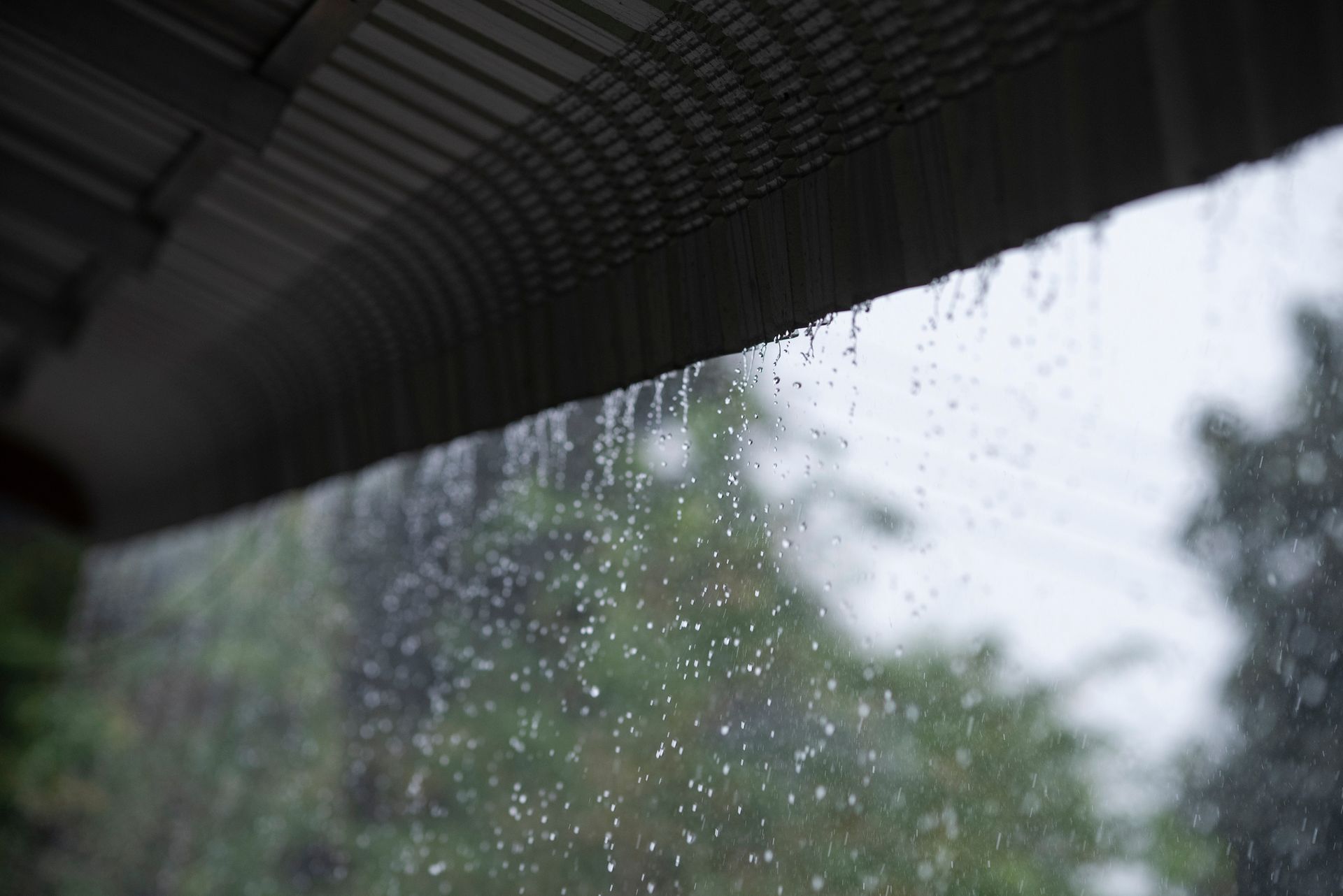 Rain falling from a dark gutter, with blurred green trees in the background.
