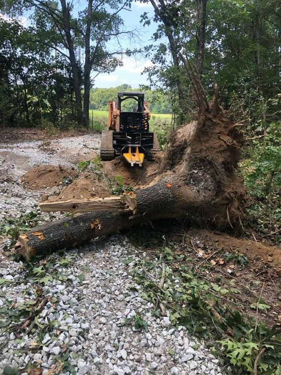 A skid steer removing a fallen tree from a gravel road in a wooded area.