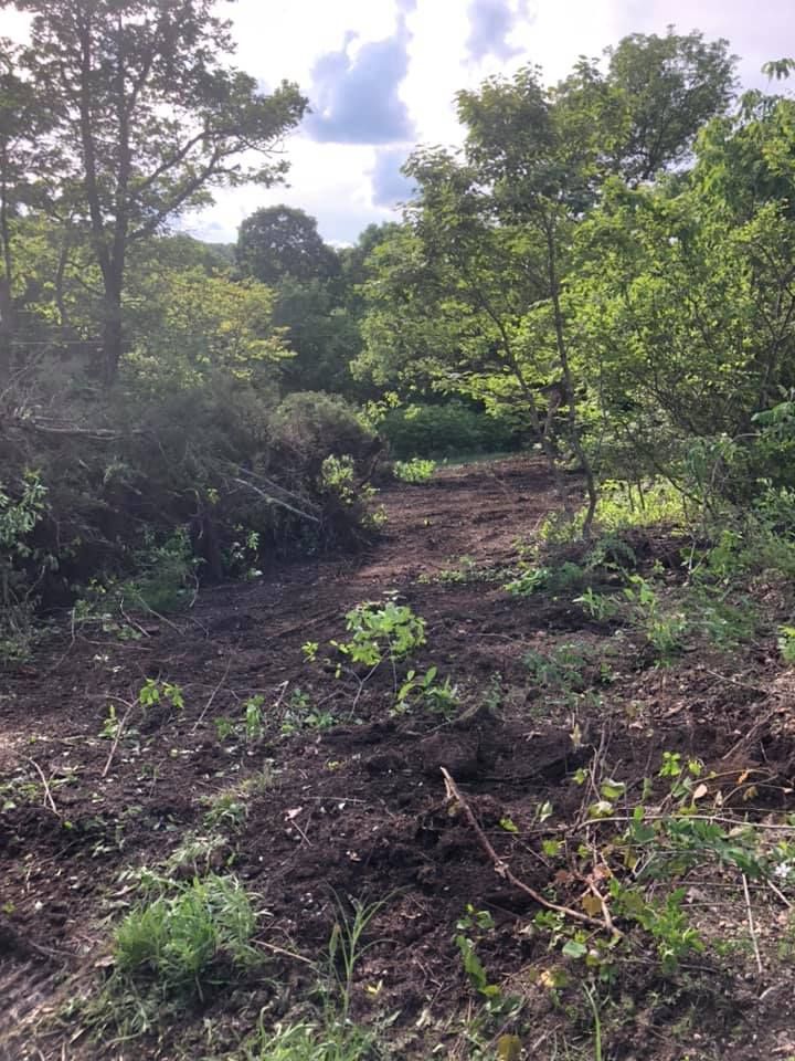 A dirt path winds through a wooded area with green trees and a cloudy sky.