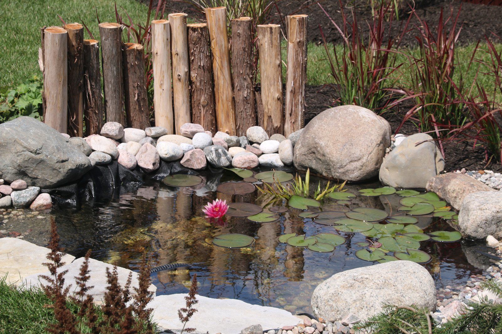 A small decorative pond with rocks, a pink water lily, and a wooden fence.