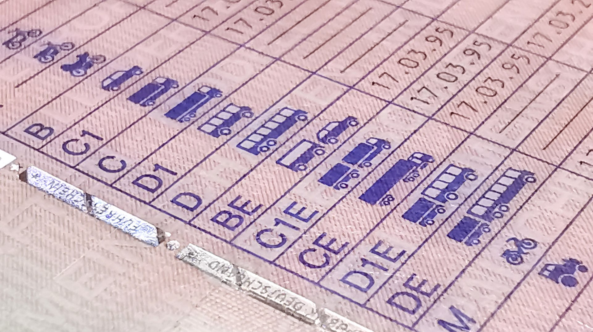 Fahrschule Koiner, Ausbildung, Führerschein