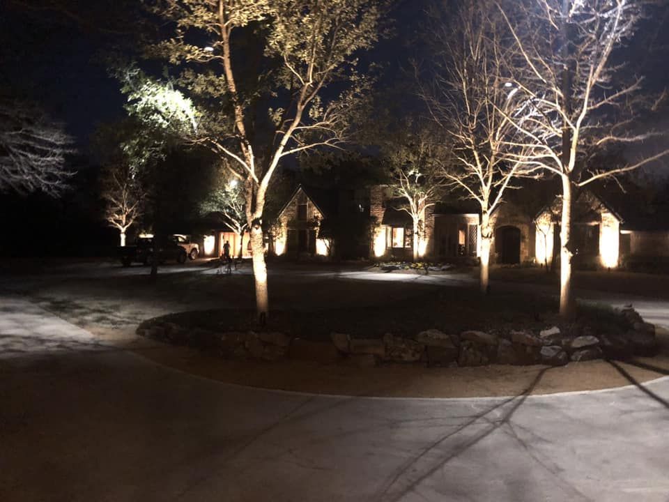 A row of trees are lit up at night in front of a house.