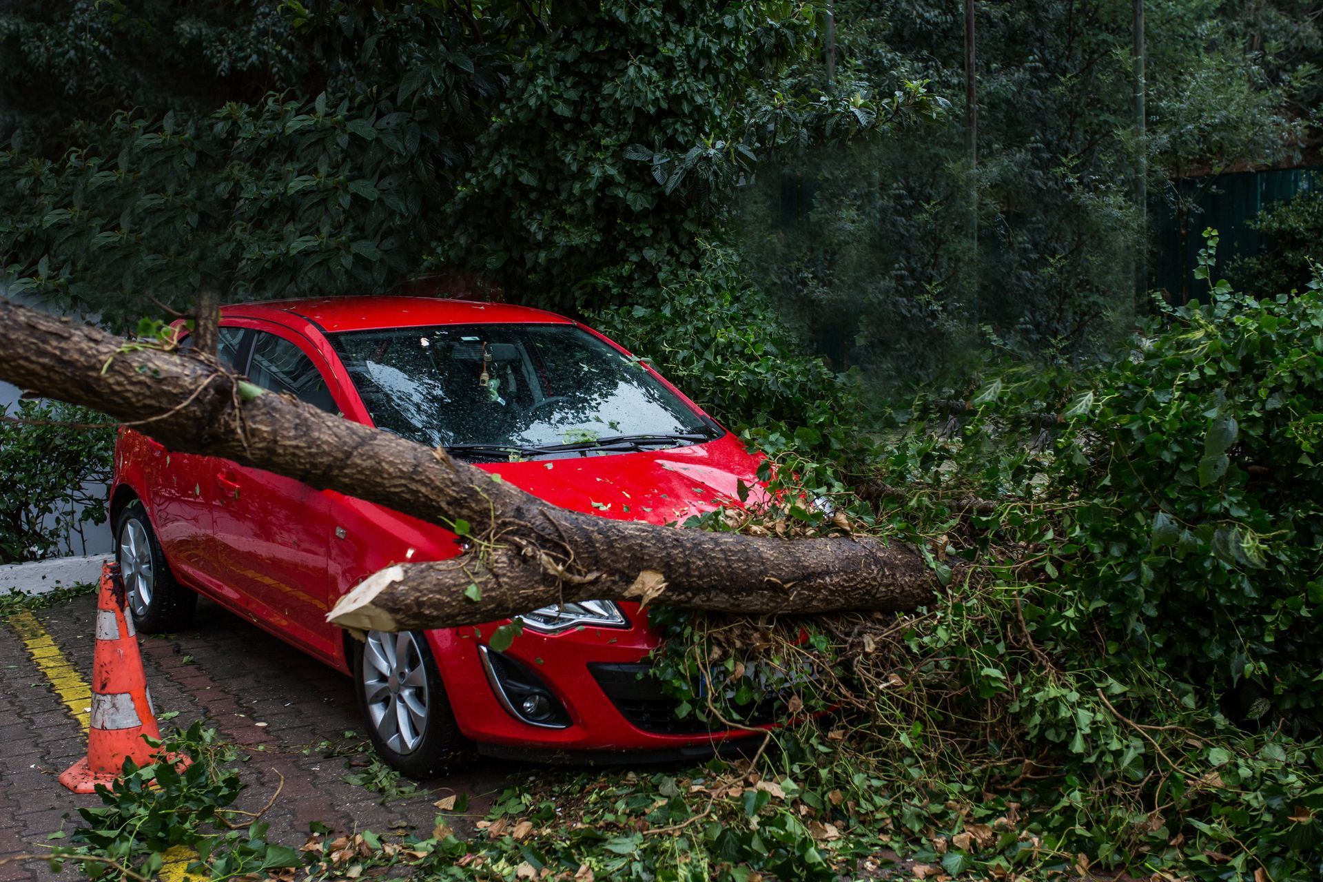 Red car damaged by a fallen tree branch in a parking lot.