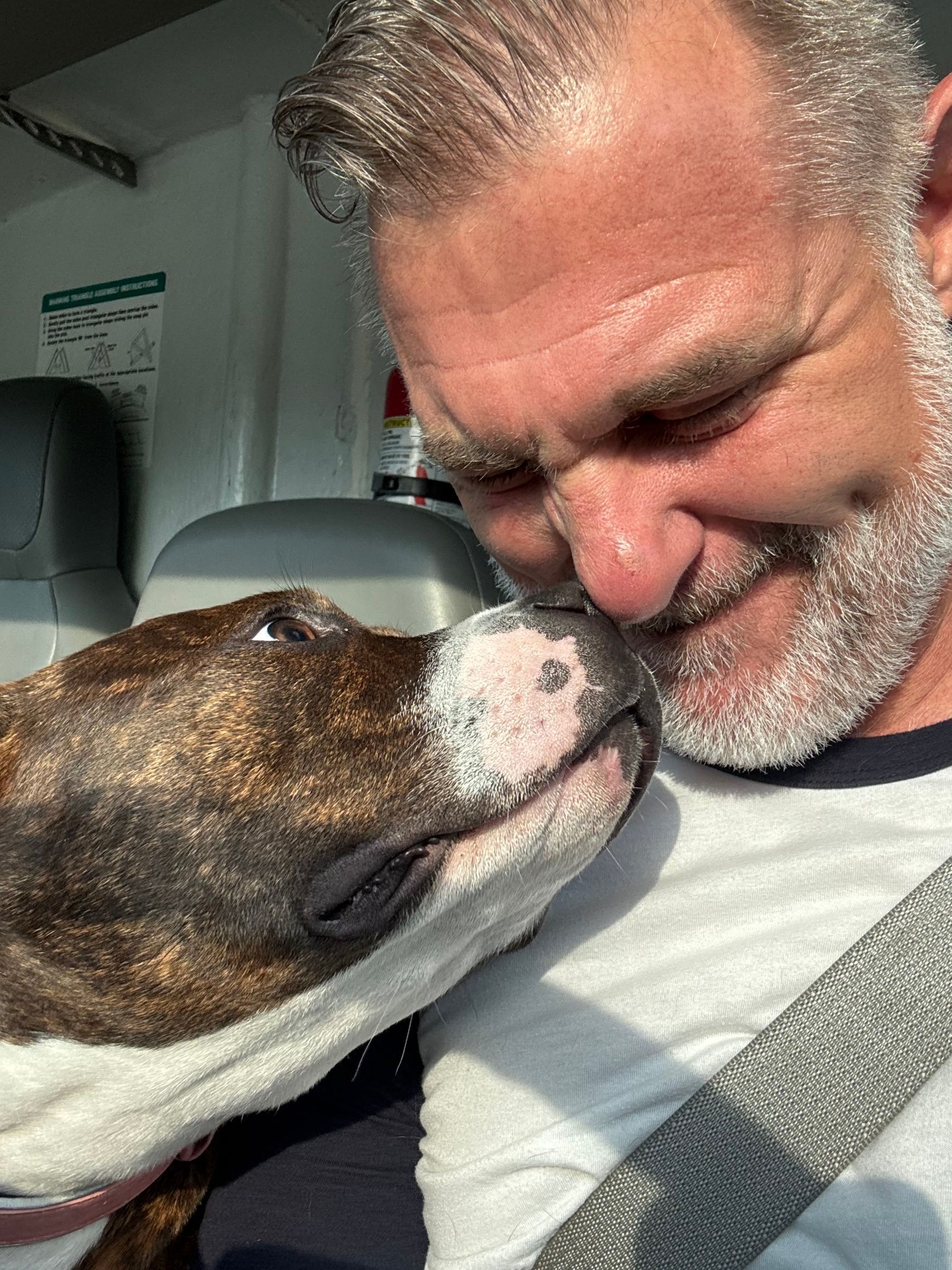 Man with graying beard nuzzles a brown and white dog in a car.