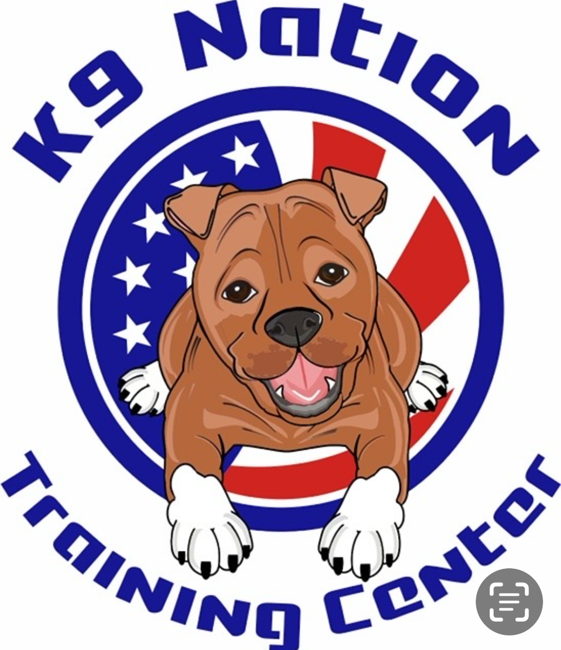 K9 Nation Training Center logo: cartoon dog in front of American flag, text 