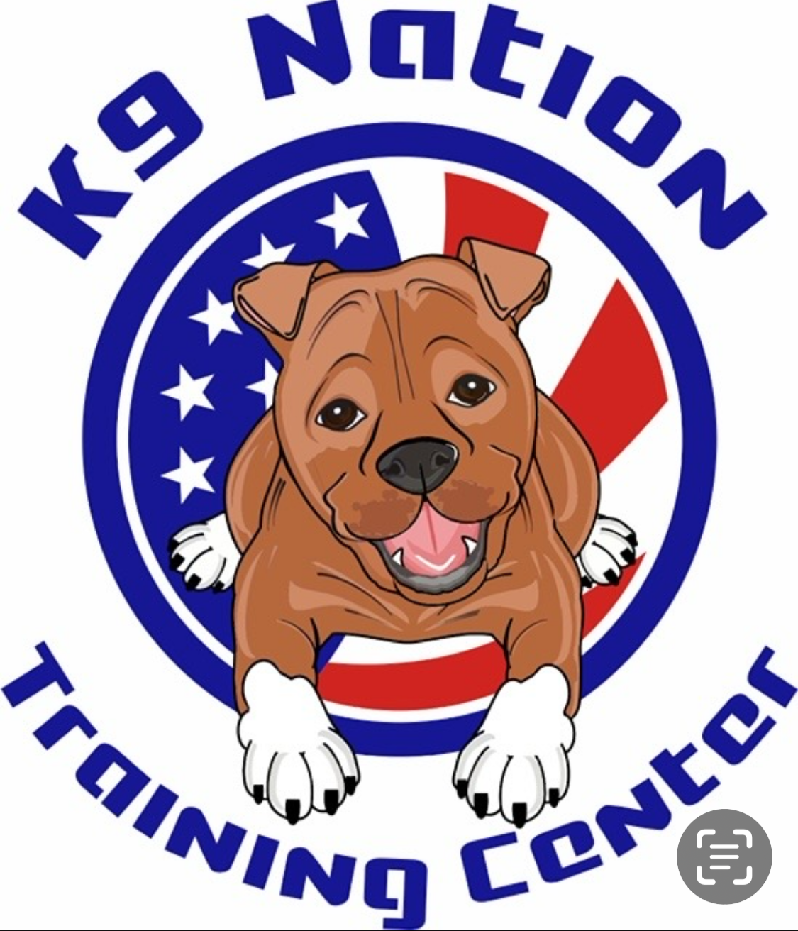 K9 Nation Training Center logo with a happy brown dog in front of the American flag design.
