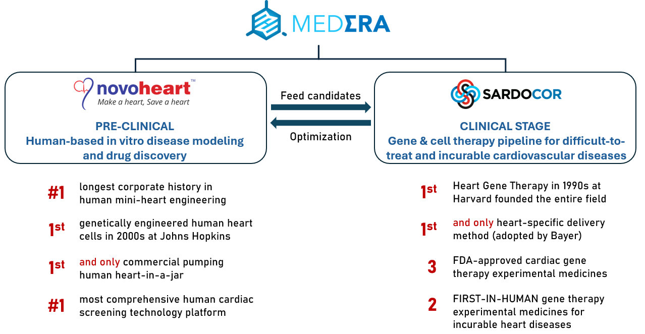 Medera pre-clinical and clinical stage divisions