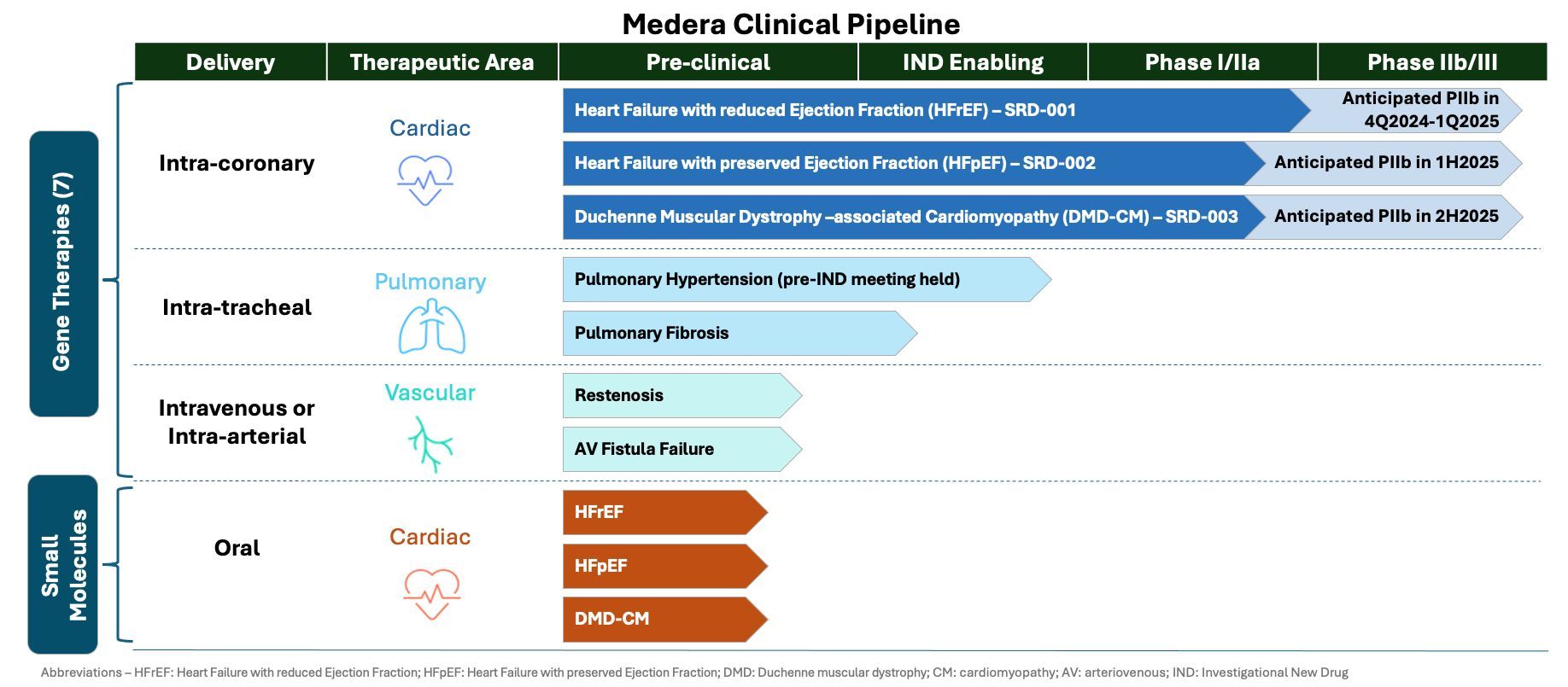 Medera Clinical Pipeline