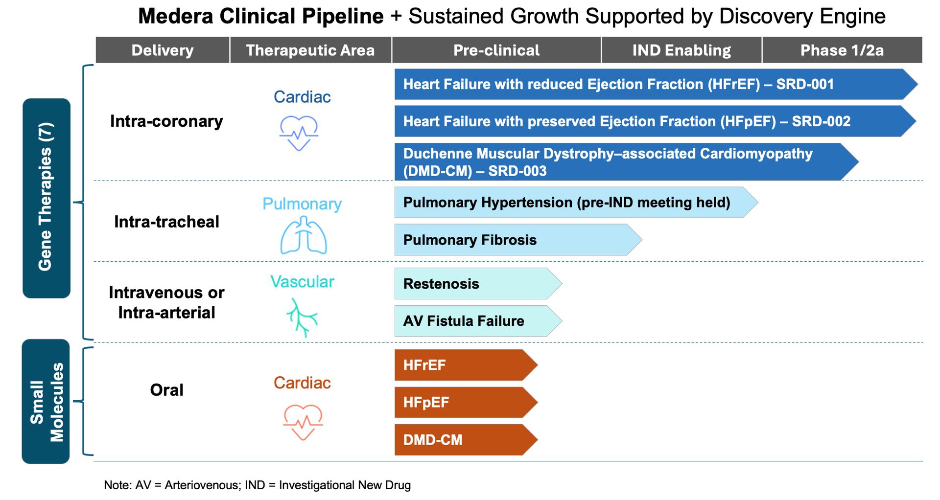 Medera Clinical Pipeline