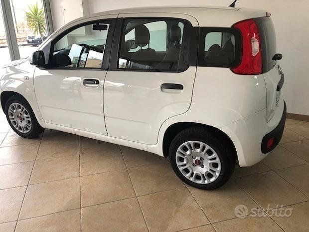 fiat panda