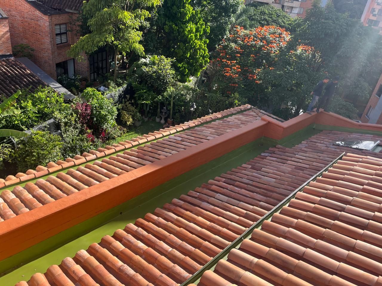 Especialistas en techos