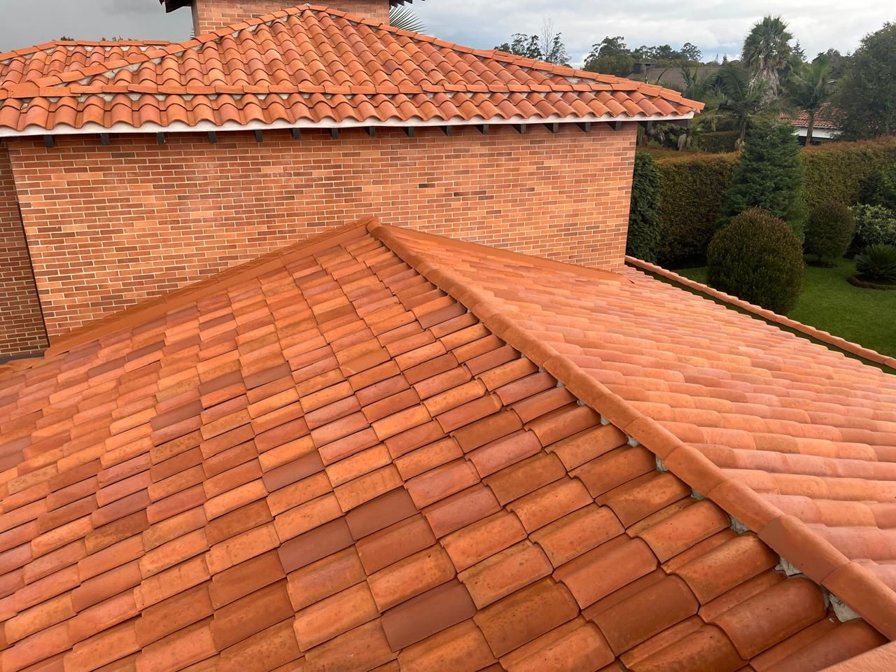 Especialistas en techos