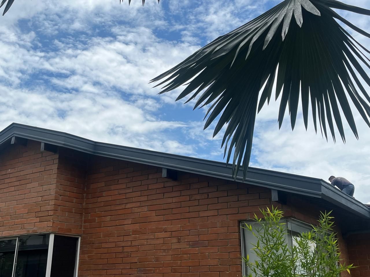 Especialistas en techos