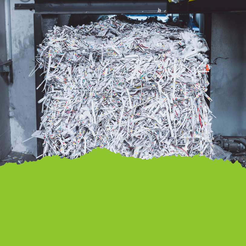 Shredded documents in a shredding machine