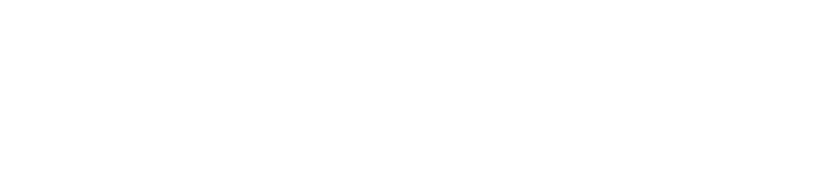 White Logo
