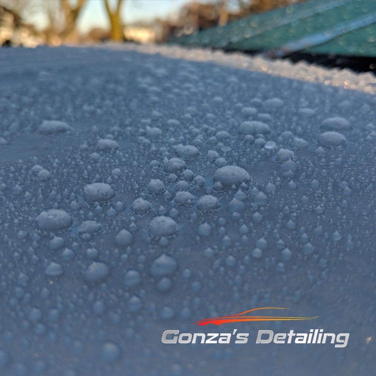 sb3 coatings frozen beads showcase