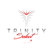 Gonza's Detailing Trinity certified installer 