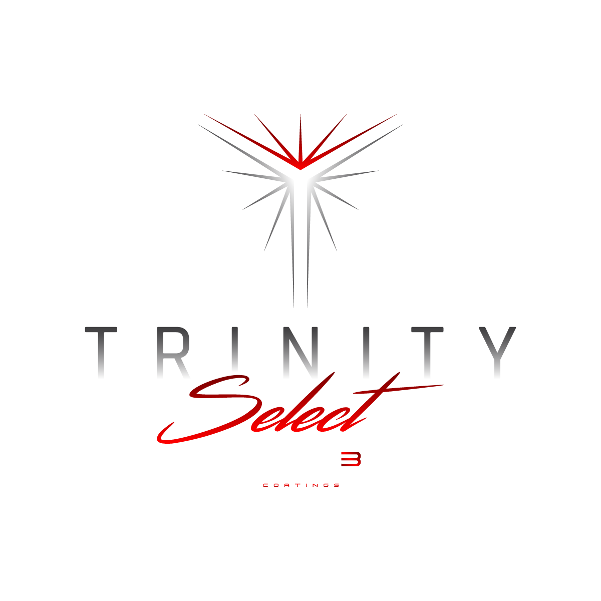 Gonza's Detailing Trinity certified installer 