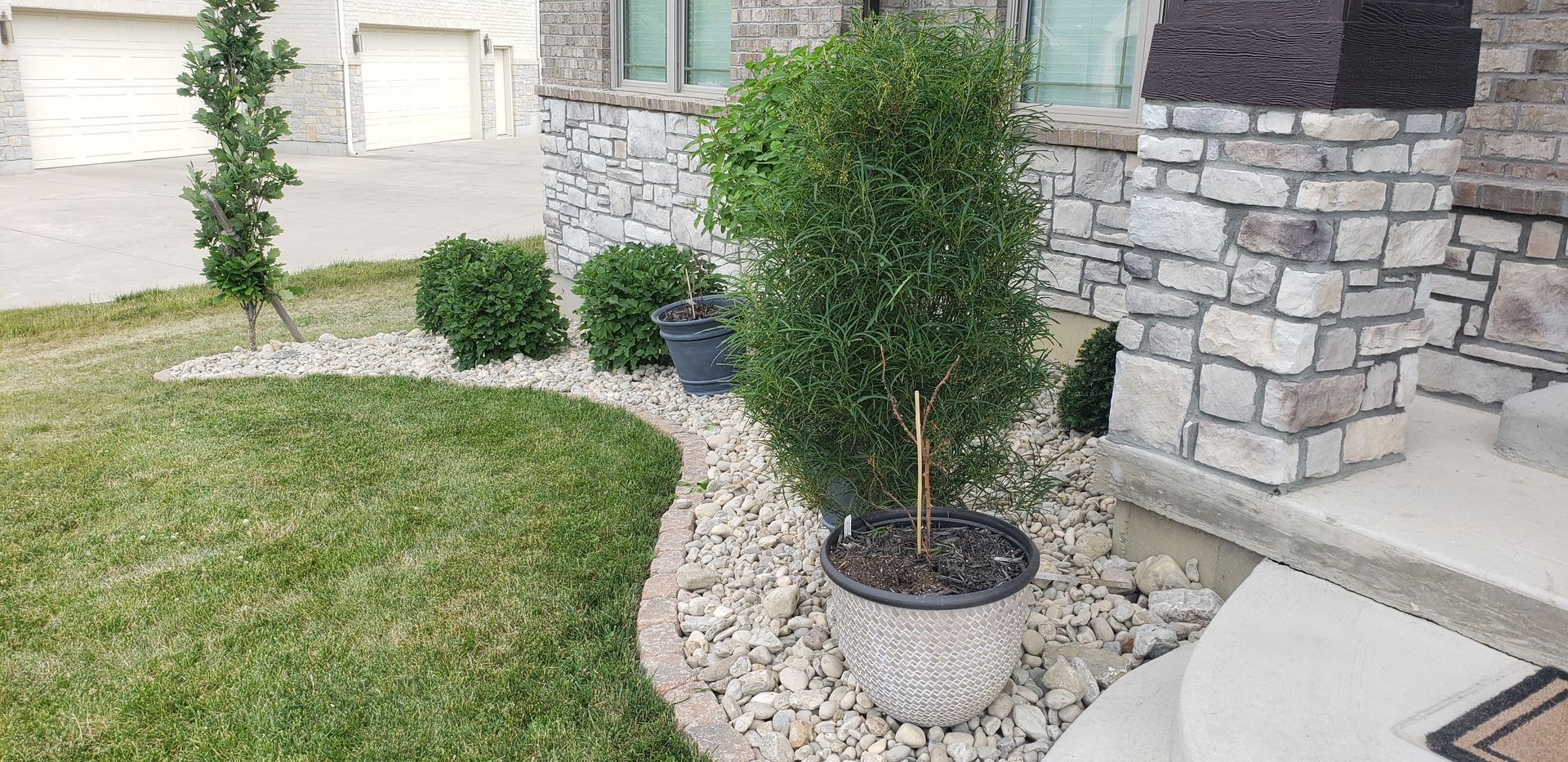 A house with a stone wall and a lawn with trees in front of it.