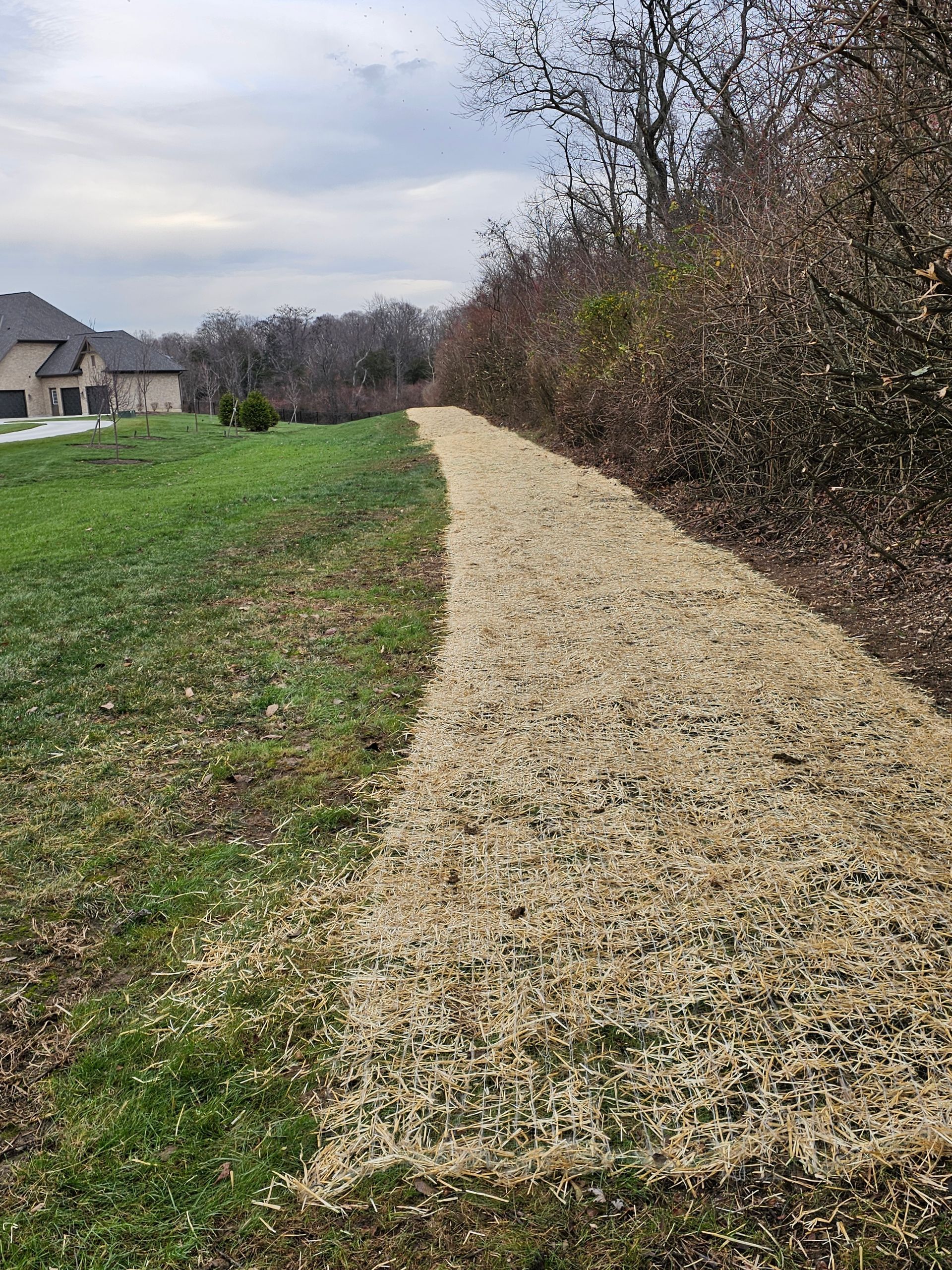 A dirt road going through a grassy field with a house in the background.