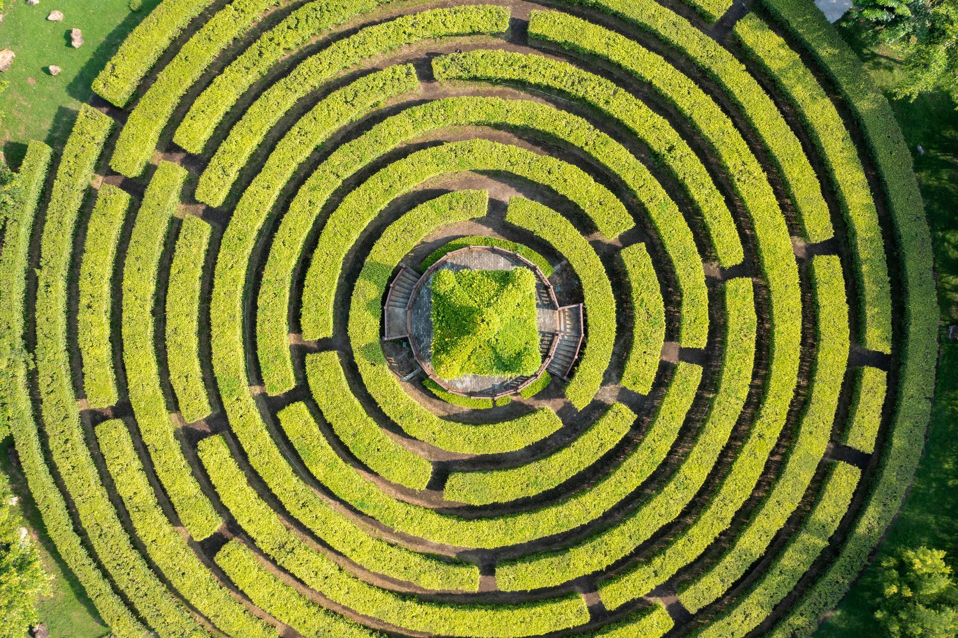 An aerial view of a circular maze in a park.