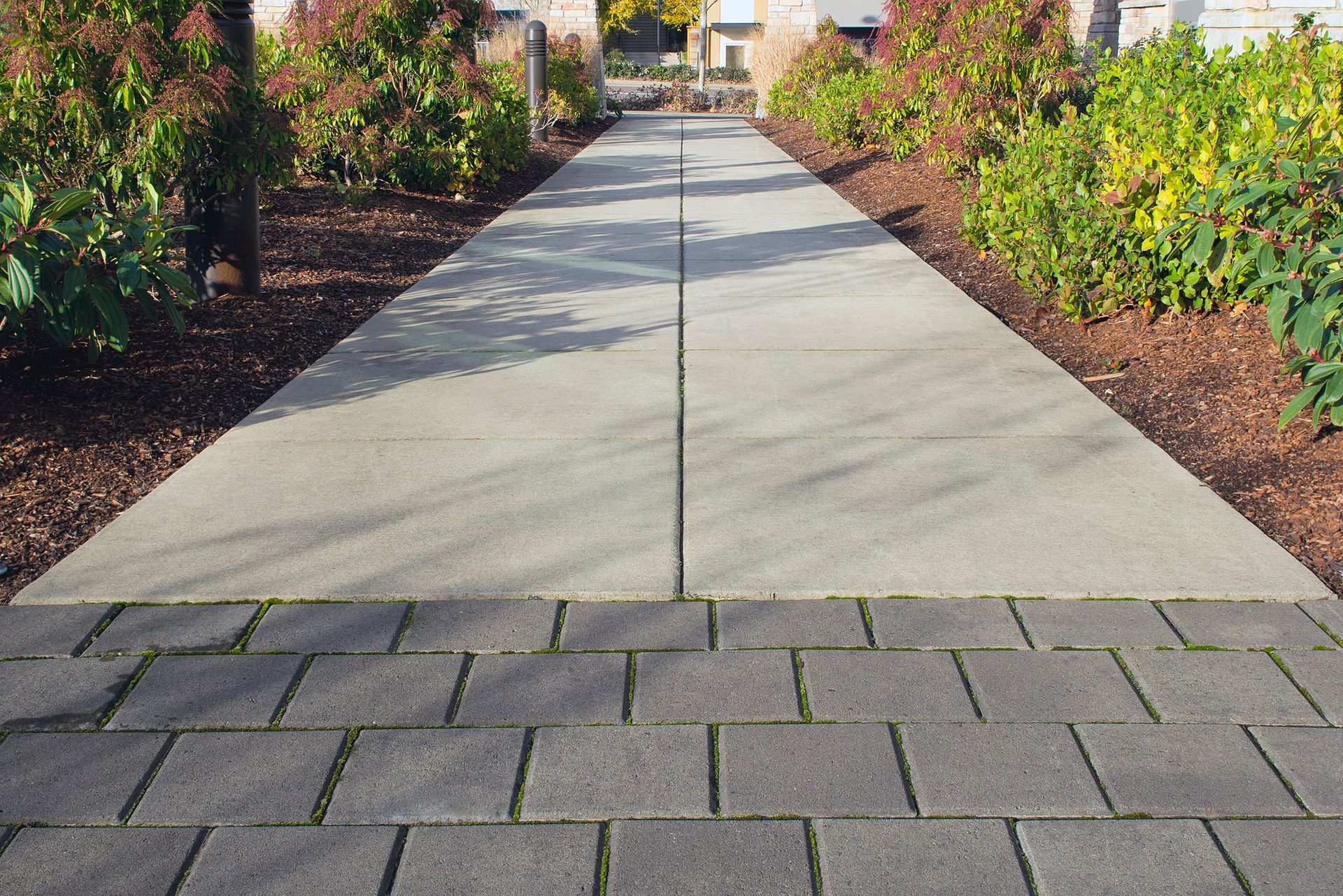 A brick walkway leading to a house with trees on both sides